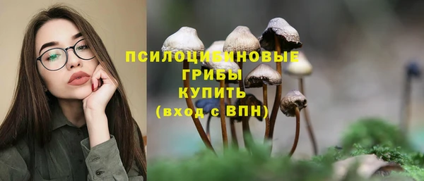 эйфоретик Каменногорск