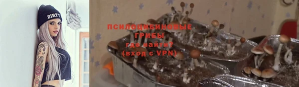 меф Каменск-Шахтинский